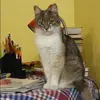 Отзыв от Яна Васильева